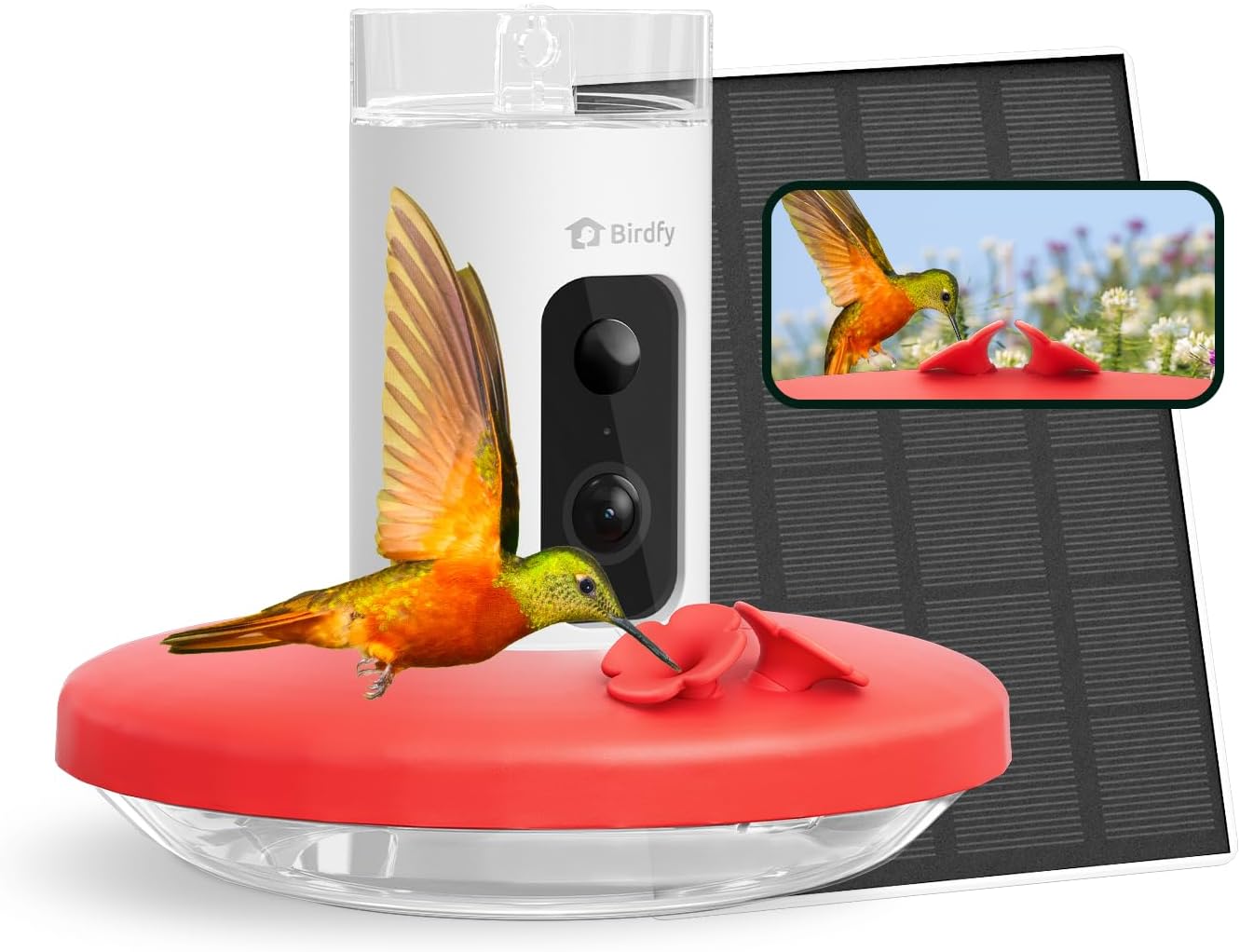 Birdfy Hummingbird Feeder